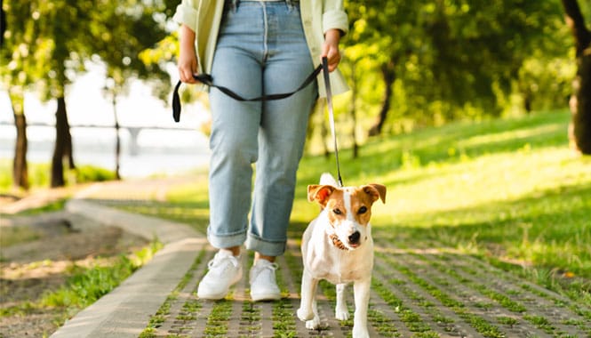 Vida urbana en familia